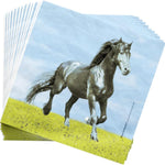 Horse Party Supplies Packs (For 16 Guests)