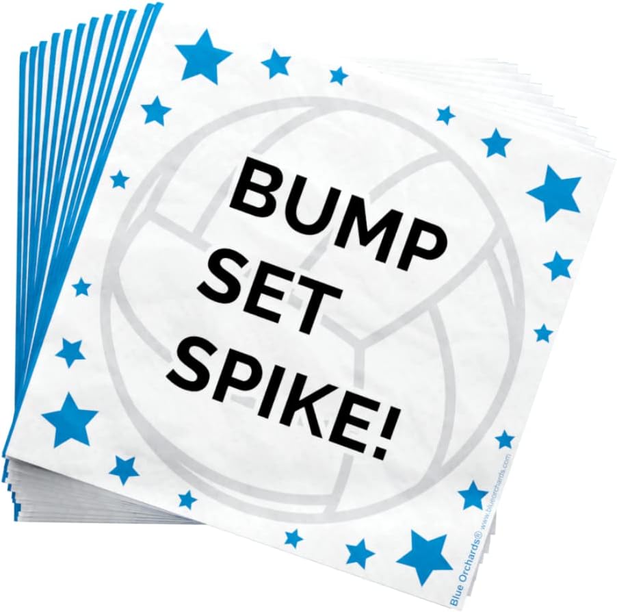 Volleyball Value Party Supplies Packs (For 16 Guests)